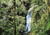 Rundreisen Malaysia