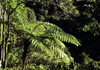 Taman Negara Rundreise