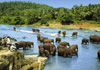 Sri Lanka Rundreisen