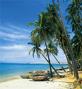 Vietnam Pauschal Urlaub