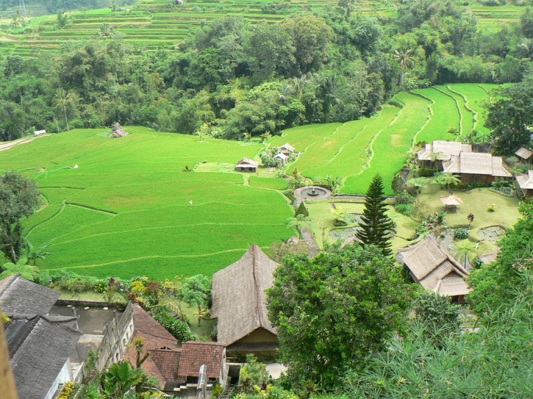 Erkunden Sie Süd-Sulawesi, Indonesien